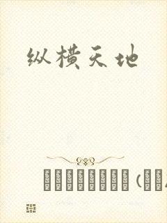 纵横天地