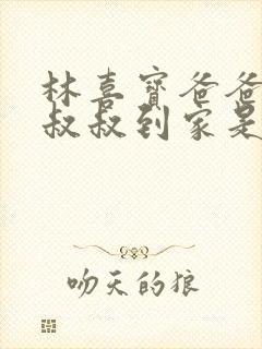 林喜宝爸爸叫李叔叔到家是哪一集