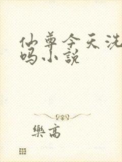 仙尊今天洗白了吗小说