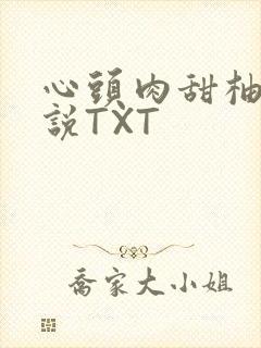 心头肉甜柚子小说TXT