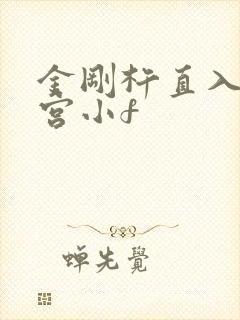 金刚杵直入莲花宫小f