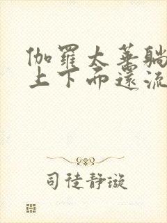 伽罗太华躺在床上下面还流东西