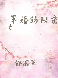 军婚的秘密txt