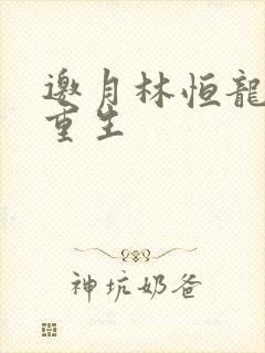 邀月林恒龙凤胎重生