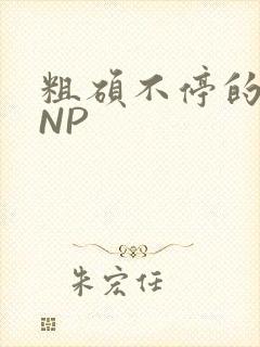 粗硕不停的进出NP