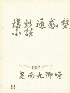 爆炒通感双胞胎小说