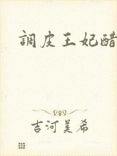 调皮王妃醋王爷