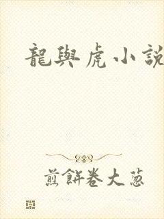 龙与虎小说