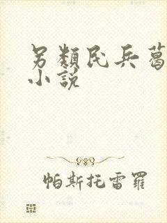 另类民兵葛二蛋小说