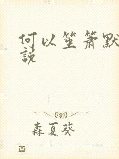 何以笙箫默 小说
