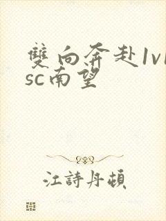双向奔赴1v1sc南望