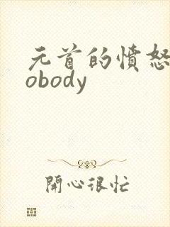 元首的愤怒之nobody