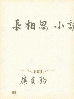 长相思 小说