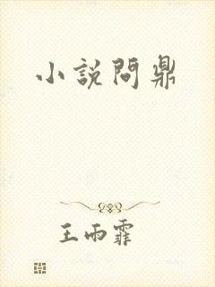 小说问鼎