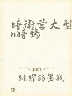 暗卫营大型hpn暗鸦