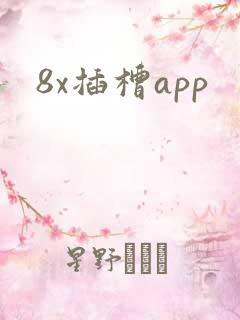 8x插槽app