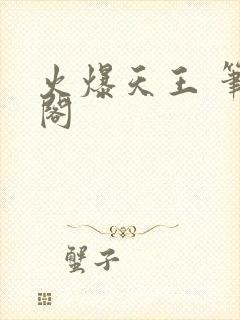 火爆天王 笔趣阁