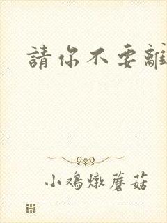 请你不要离开我