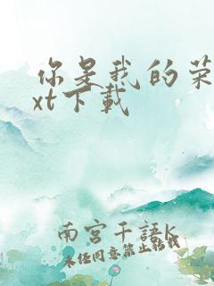 你是我的荣耀txt下载