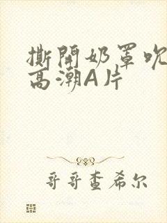 撕开奶罩吮奶头高潮A片