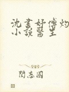 沈书妤傅灼抖音小说医生