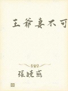 王爷妻不可欺