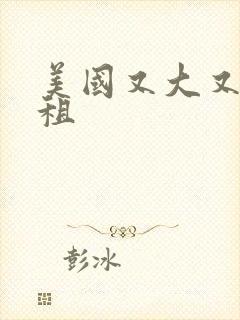 美国又大又长又租