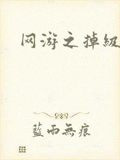 网游之掉级专家