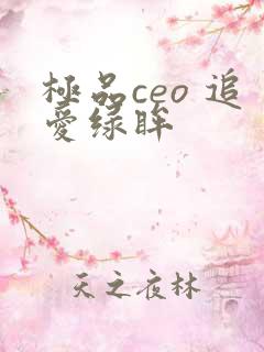 极品ceo 追爱绿眸