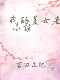 我的美女老婆们 小说