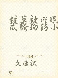 校草被催眠洗脑成骚狗的小说