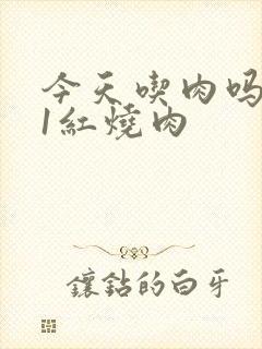 今天吃肉吗1V1红烧肉