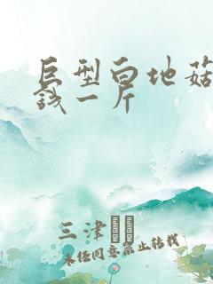 巨型白地菇多少钱一斤