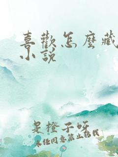 喜欢怎么藏不住小说