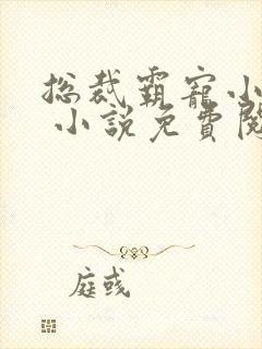 总裁霸宠小娇妻 小说免费阅读