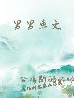 男男车文