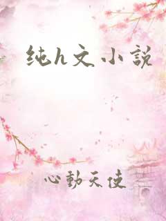 纯h文小说