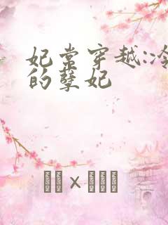 妃常穿越:冷王的孽妃