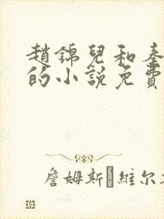 赵锦儿和秦慕修的小说免费阅读全文