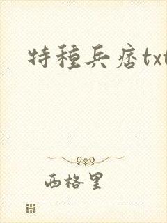特种兵痞txt