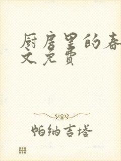 厨房里的春天全文免费