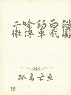 二哈的白猫师尊微博车截图