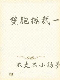 双胞总裁一个妻