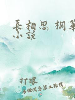 长相思 桐华 小说