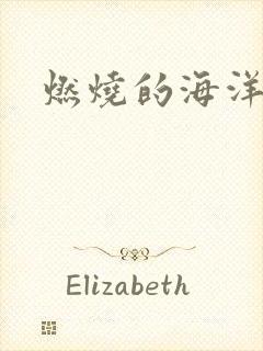 燃烧的海洋下载