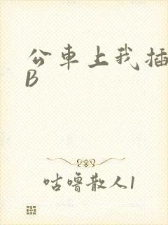 公车上我插上骚B