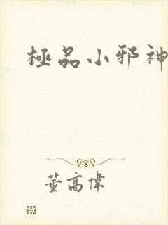 极品小邪神