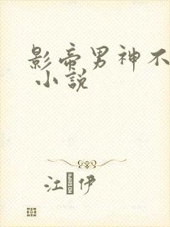 影帝男神不节制 小说