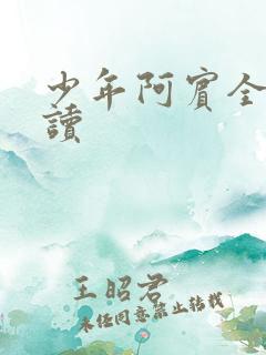 少年阿宾全本阅读