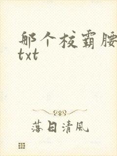 那个校霸腰好软txt
